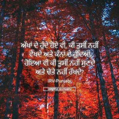 Picture 05 - ਮਰਕੁਸ 8:18 PANIRV - ਅੱਖਾਂ ਦੇ ਹੁੰਦੇ ਹੋਏ - Bible Verse Picture