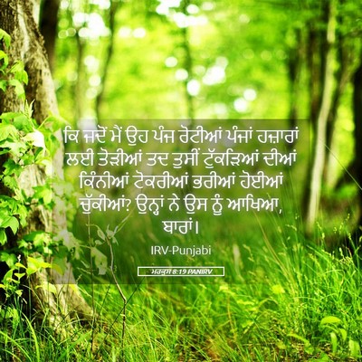 Picture 05 - ਮਰਕੁਸ 8:19 PANIRV - ਕਿ ਜਦੋਂ ਮੈਂ ਉਹ ਪੰਜ - Bible Verse Picture