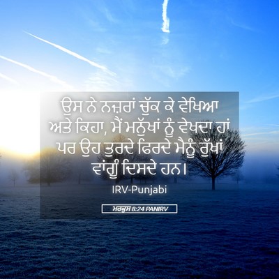 Picture 05 - ਮਰਕੁਸ 8:24 PANIRV - ਉਸ ਨੇ ਨਜ਼ਰਾਂ ਚੁੱਕ - Bible Verse Picture