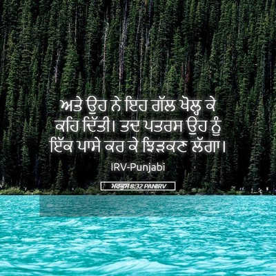 Picture 05 - ਮਰਕੁਸ 8:32 PANIRV - ਅਤੇ ਉਹ ਨੇ ਇਹ ਗੱਲ - Bible Verse Picture