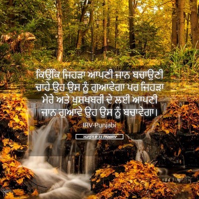 Picture 05 - ਮਰਕੁਸ 8:35 PANIRV - ਕਿਉਂਕਿ ਜਿਹੜਾ ਆਪਣੀ - Bible Verse Picture