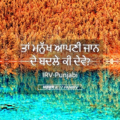 Picture 05 - ਮਰਕੁਸ 8:37 PANIRV - ਤਾਂ ਮਨੁੱਖ ਆਪਣੀ ਜਾਨ - Bible Verse Picture