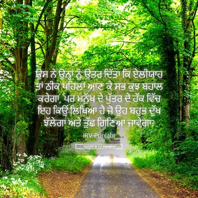 Picture 05 - ਮਰਕੁਸ 9:12 PANIRV - ਉਸ ਨੇ ਉਨ੍ਹਾਂ ਨੂੰ - Bible Verse Picture