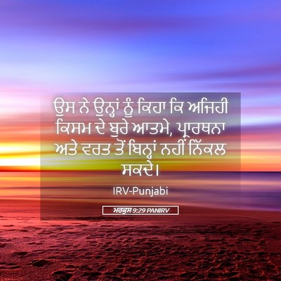 Picture 05 - ਮਰਕੁਸ 9:29 PANIRV - ਉਸ ਨੇ ਉਨ੍ਹਾਂ ਨੂੰ - Bible Verse Picture