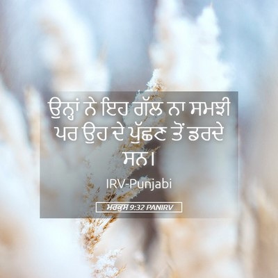 Picture 05 - ਮਰਕੁਸ 9:32 PANIRV - ਉਨ੍ਹਾਂ ਨੇ ਇਹ ਗੱਲ ਨਾ - Bible Verse Picture