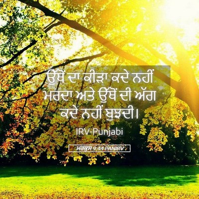 Picture 05 - ਮਰਕੁਸ 9:44 PANIRV - ਉੱਥੋਂ ਦਾ ਕੀੜਾ ਕਦੇ - Bible Verse Picture