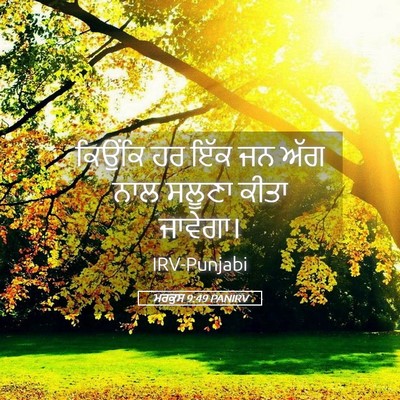 Picture 05 - ਮਰਕੁਸ 9:49 PANIRV - ਕਿਉਂਕਿ ਹਰ ਇੱਕ ਜਨ - Bible Verse Picture