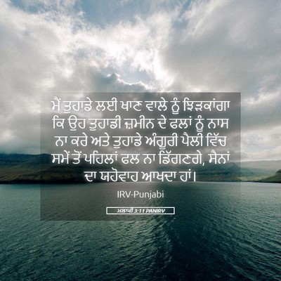 Picture 05 - ਮਲਾਕੀ 3:11 PANIRV - ਮੈਂ ਤੁਹਾਡੇ ਲਈ ਖਾਣ - Bible Verse Picture