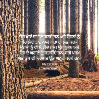 Picture 05 - ਮੀਕਾਹ 2:2 PANIRV - ਉਹ ਖੇਤਾਂ ਦਾ ਲੋਭ - Bible Verse Picture