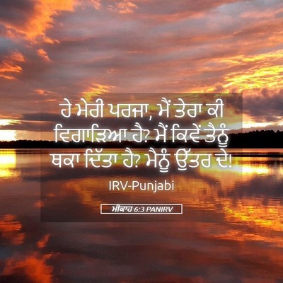 Picture 05 - ਮੀਕਾਹ 6:3 PANIRV - ਹੇ ਮੇਰੀ ਪਰਜਾ, ਮੈਂ - Bible Verse Picture