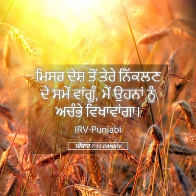 Picture 05 - ਮੀਕਾਹ 7:15 PANIRV - ਮਿਸਰ ਦੇਸ਼ ਤੋਂ ਤੇਰੇ - Bible Verse Picture