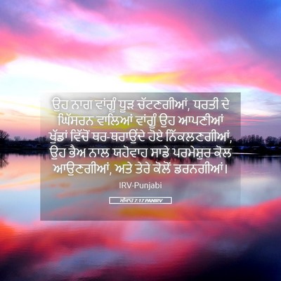 Picture 05 - ਮੀਕਾਹ 7:17 PANIRV - ਉਹ ਨਾਗ ਵਾਂਗੂੰ ਧੂੜ - Bible Verse Picture