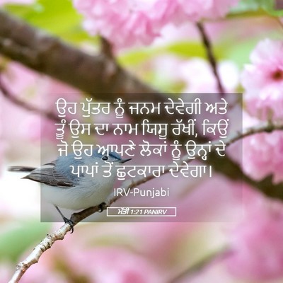 Picture 05 - ਮੱਤੀ 1:21 PANIRV - ਉਹ ਪੁੱਤਰ ਨੂੰ ਜਨਮ - Bible Verse Picture