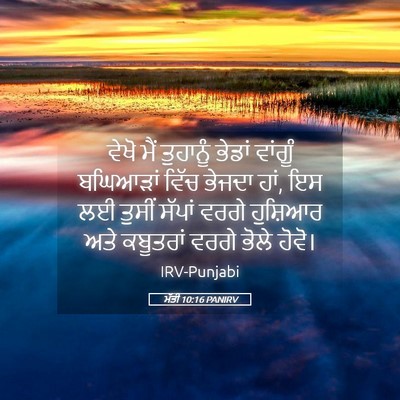 Picture 05 - ਮੱਤੀ 10:16 PANIRV - ਵੇਖੋ ਮੈਂ ਤੁਹਾਨੂੰ - Bible Verse Picture