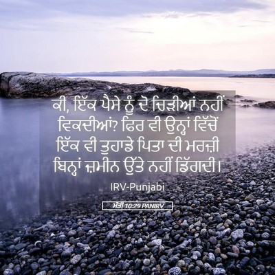 Picture 05 - ਮੱਤੀ 10:29 PANIRV - ਕੀ, ਇੱਕ ਪੈਸੇ ਨੂੰ ਦੋ - Bible Verse Picture