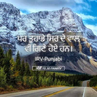 Picture 05 - ਮੱਤੀ 10:30 PANIRV - ਪਰ ਤੁਹਾਡੇ ਸਿਰ ਦੇ - Bible Verse Picture