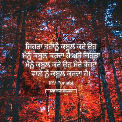 Picture 05 - ਮੱਤੀ 10:40 PANIRV - ਜਿਹੜਾ ਤੁਹਾਨੂੰ - Bible Verse Picture