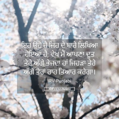 Picture 05 - ਮੱਤੀ 11:10 PANIRV - ਇਹ ਉਹੋ ਹੈ ਜਿਹ ਦੇ - Bible Verse Picture