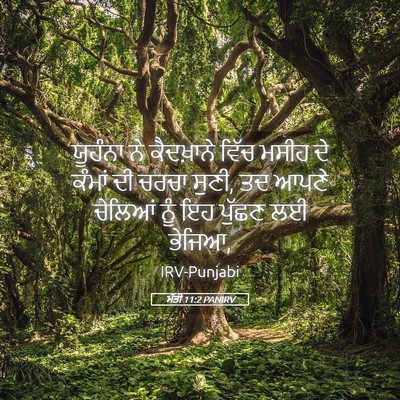 Picture 05 - ਮੱਤੀ 11:2 PANIRV - ਯੂਹੰਨਾ ਨੇ - Bible Verse Picture