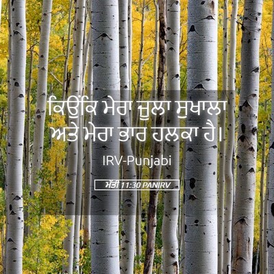 Picture 05 - ਮੱਤੀ 11:30 PANIRV - ਕਿਉਂਕਿ ਮੇਰਾ ਜੂਲਾ - Bible Verse Picture
