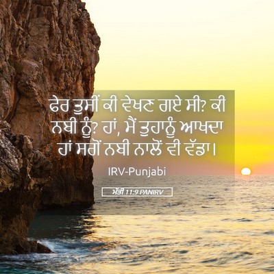 Picture 05 - ਮੱਤੀ 11:9 PANIRV - ਫੇਰ ਤੁਸੀਂ ਕੀ ਵੇਖਣ - Bible Verse Picture