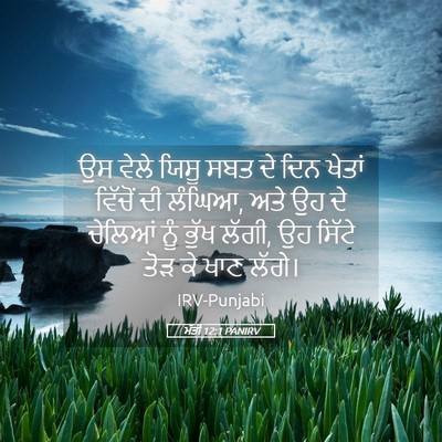 Picture 05 - ਮੱਤੀ 12:1 PANIRV - ਉਸ ਵੇਲੇ ਯਿਸੂ ਸਬਤ ਦੇ - Bible Verse Picture