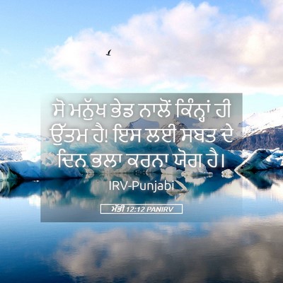 Picture 05 - ਮੱਤੀ 12:12 PANIRV - ਸੋ ਮਨੁੱਖ ਭੇਡ ਨਾਲੋਂ - Bible Verse Picture