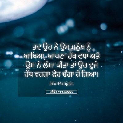 Picture 05 - ਮੱਤੀ 12:13 PANIRV - ਤਦ ਉਹ ਨੇ ਉਸ ਮਨੁੱਖ - Bible Verse Picture