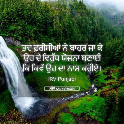 Picture 05 - ਮੱਤੀ 12:14 PANIRV - ਤਦ ਫ਼ਰੀਸੀਆਂ ਨੇ - Bible Verse Picture
