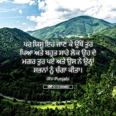 Picture 05 - ਮੱਤੀ 12:15 PANIRV - ਪਰ ਯਿਸੂ ਇਹ ਜਾਣ ਕੇ - Bible Verse Picture