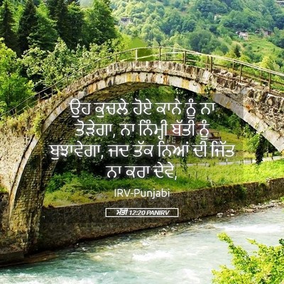 Picture 05 - ਮੱਤੀ 12:20 PANIRV - ਉਹ ਕੁਚਲੇ ਹੋਏ ਕਾਨੇ - Bible Verse Picture