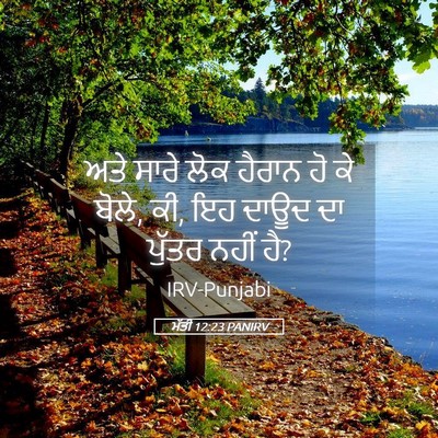 Picture 05 - ਮੱਤੀ 12:23 PANIRV - ਅਤੇ ਸਾਰੇ ਲੋਕ ਹੈਰਾਨ - Bible Verse Picture