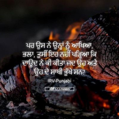 Picture 05 - ਮੱਤੀ 12:3 PANIRV - ਪਰ ਉਸ ਨੇ ਉਨ੍ਹਾਂ ਨੂੰ - Bible Verse Picture