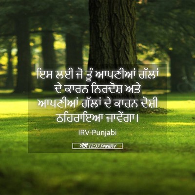 Picture 05 - ਮੱਤੀ 12:37 PANIRV - ਇਸ ਲਈ ਜੋ ਤੂੰ ਆਪਣੀਆਂ - Bible Verse Picture