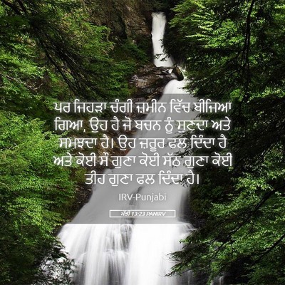 Picture 05 - ਮੱਤੀ 13:23 PANIRV - ਪਰ ਜਿਹੜਾ ਚੰਗੀ - Bible Verse Picture