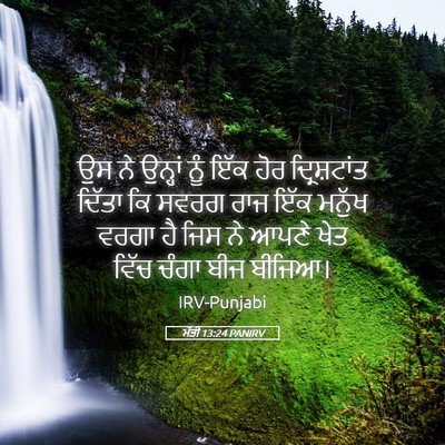 Picture 05 - ਮੱਤੀ 13:24 PANIRV - ਉਸ ਨੇ ਉਨ੍ਹਾਂ ਨੂੰ - Bible Verse Picture