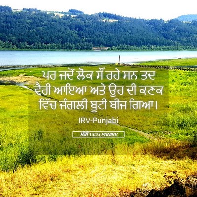 Picture 05 - ਮੱਤੀ 13:25 PANIRV - ਪਰ ਜਦੋਂ ਲੋਕ ਸੌਂ ਰਹੇ - Bible Verse Picture