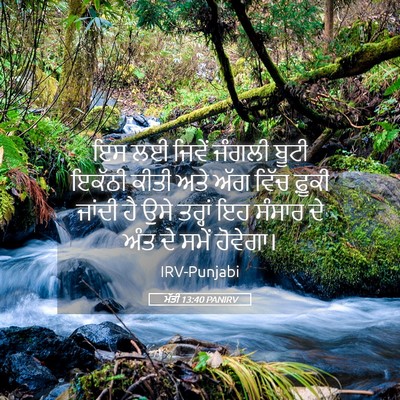 Picture 05 - ਮੱਤੀ 13:40 PANIRV - ਇਸ ਲਈ ਜਿਵੇਂ ਜੰਗਲੀ - Bible Verse Picture