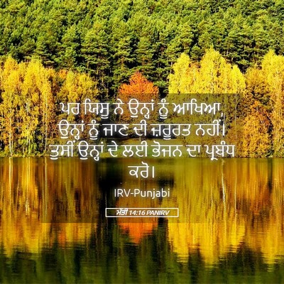 Picture 05 - ਮੱਤੀ 14:16 PANIRV - ਪਰ ਯਿਸੂ ਨੇ ਉਨ੍ਹਾਂ - Bible Verse Picture