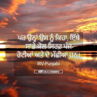Picture 05 - ਮੱਤੀ 14:17 PANIRV - ਪਰ ਉਨ੍ਹਾਂ ਉਸ ਨੂੰ - Bible Verse Picture