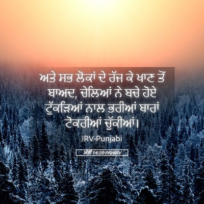 Picture 05 - ਮੱਤੀ 14:20 PANIRV - ਅਤੇ ਸਭ ਲੋਕਾਂ ਦੇ ਰੱਜ - Bible Verse Picture
