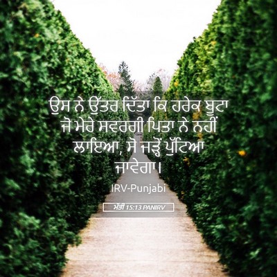 Picture 05 - ਮੱਤੀ 15:13 PANIRV - ਉਸ ਨੇ ਉੱਤਰ ਦਿੱਤਾ ਕਿ - Bible Verse Picture