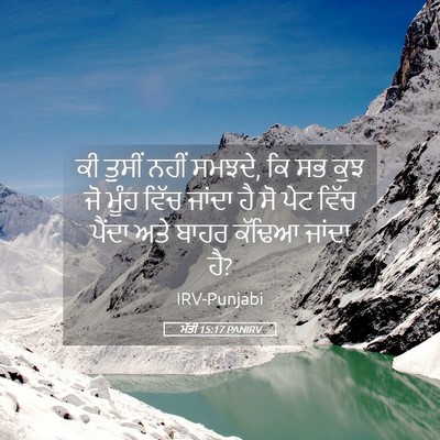 Picture 05 - ਮੱਤੀ 15:17 PANIRV - ਕੀ ਤੁਸੀਂ ਨਹੀਂ - Bible Verse Picture