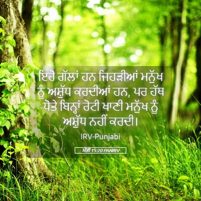 Picture 05 - ਮੱਤੀ 15:20 PANIRV - ਇਹੋ ਗੱਲਾਂ ਹਨ - Bible Verse Picture