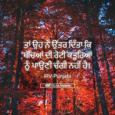 Picture 05 - ਮੱਤੀ 15:26 PANIRV - ਤਾਂ ਉਹ ਨੇ ਉੱਤਰ - Bible Verse Picture