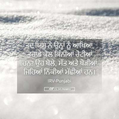 Picture 05 - ਮੱਤੀ 15:34 PANIRV - ਤਦ ਯਿਸੂ ਨੇ ਉਨ੍ਹਾਂ - Bible Verse Picture