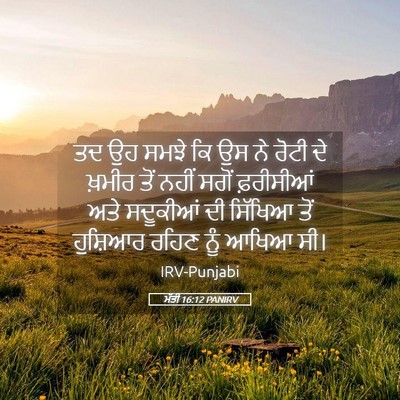 Picture 05 - ਮੱਤੀ 16:12 PANIRV - ਤਦ ਉਹ ਸਮਝੇ ਕਿ ਉਸ ਨੇ - Bible Verse Picture