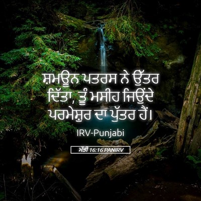 Picture 05 - ਮੱਤੀ 16:16 PANIRV - ਸ਼ਮਊਨ ਪਤਰਸ ਨੇ ਉੱਤਰ - Bible Verse Picture