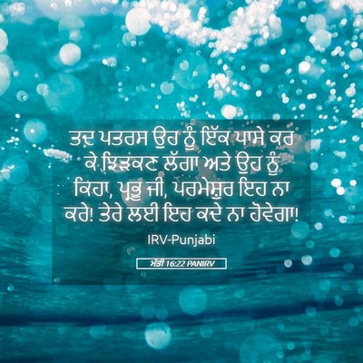 Picture 05 - ਮੱਤੀ 16:22 PANIRV - ਤਦ ਪਤਰਸ ਉਹ ਨੂੰ ਇੱਕ - Bible Verse Picture