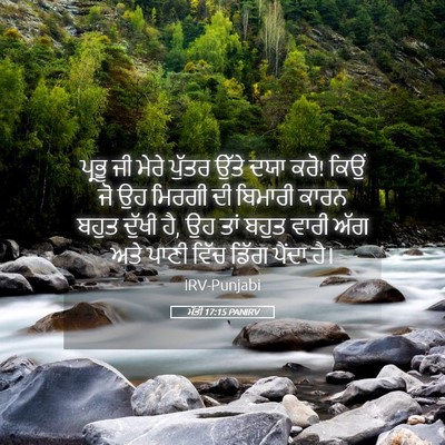 Picture 05 - ਮੱਤੀ 17:15 PANIRV - ਪ੍ਰਭੂ ਜੀ ਮੇਰੇ - Bible Verse Picture